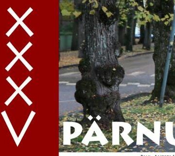 We are proud to announce that our XXXV festival will take place as scheduled